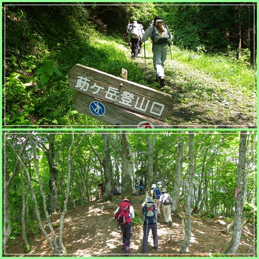 f0016066_0123513.jpg