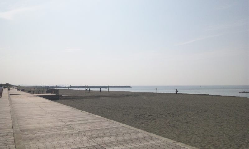 b0164568_8175254.jpg
