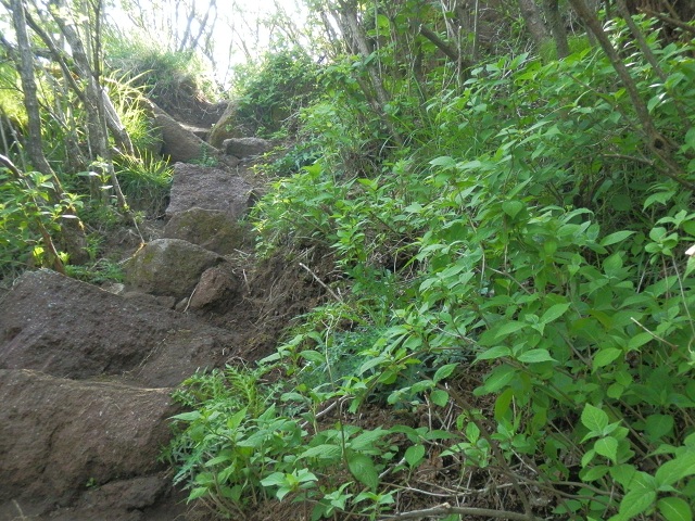 c0042869_19513993.jpg