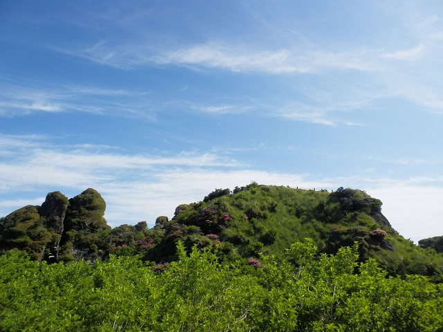c0042869_19533857.jpg