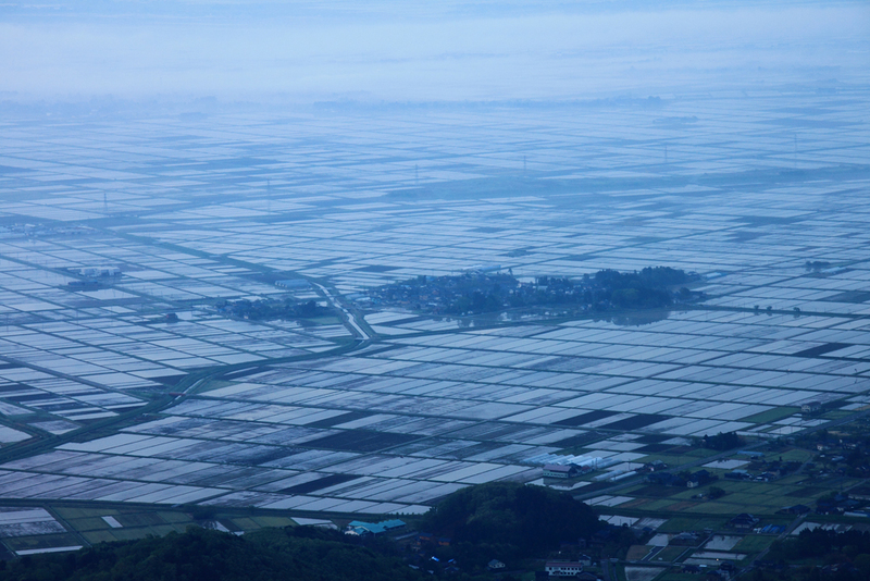 b0168274_22313297.jpg