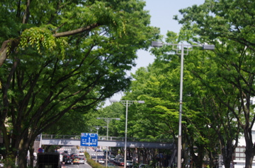 f0054677_6533247.jpg