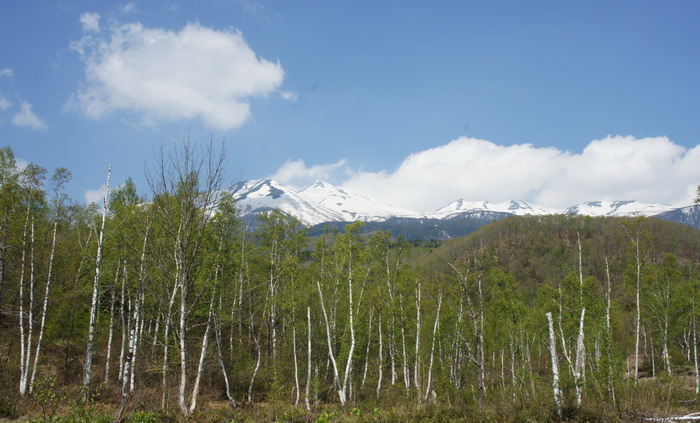 c0197578_21173570.jpg