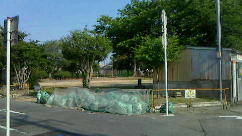 f0215179_86725.jpg
