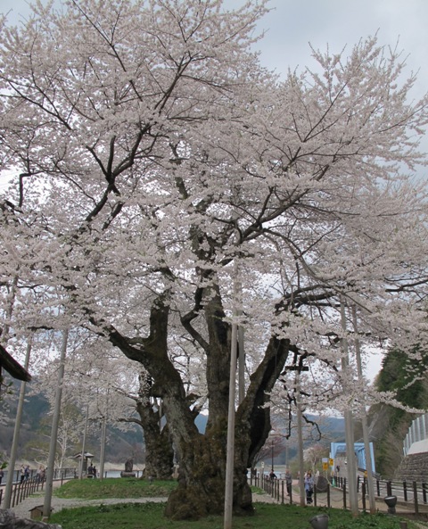 a0091680_11401129.jpg