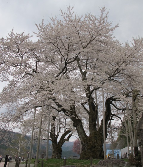 a0091680_11404554.jpg