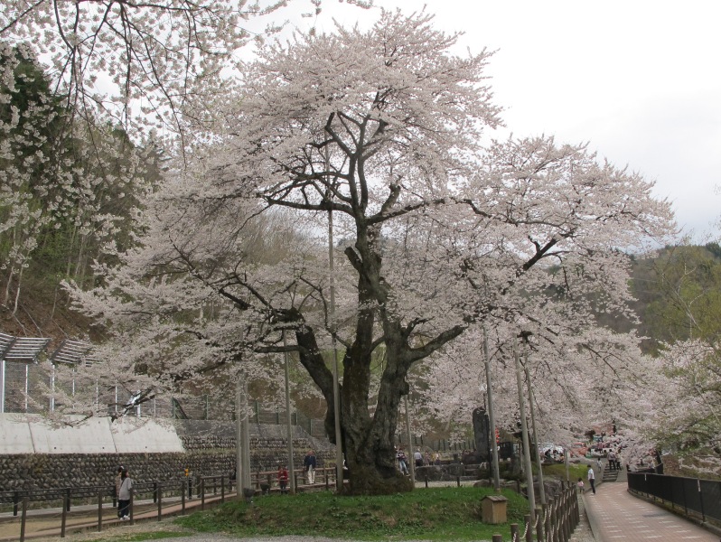a0091680_11415212.jpg