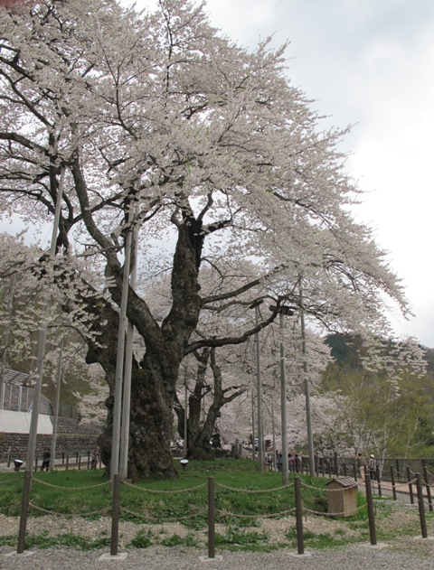 a0091680_1143129.jpg
