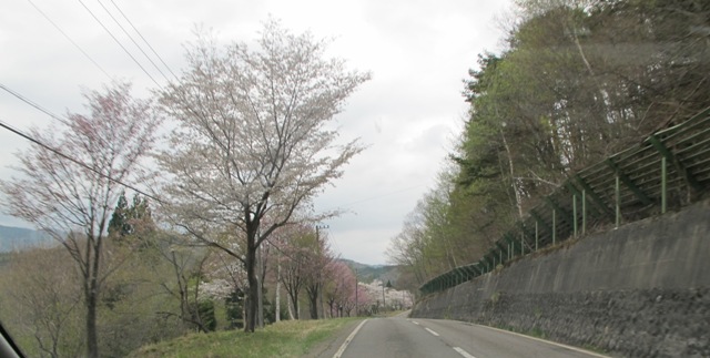 a0091680_11441419.jpg