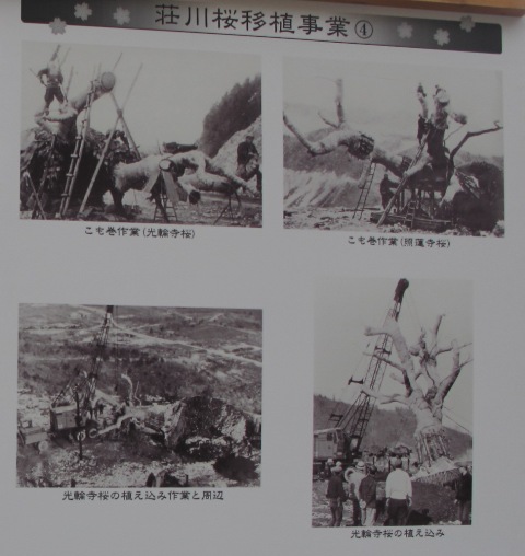 a0091680_1284061.jpg