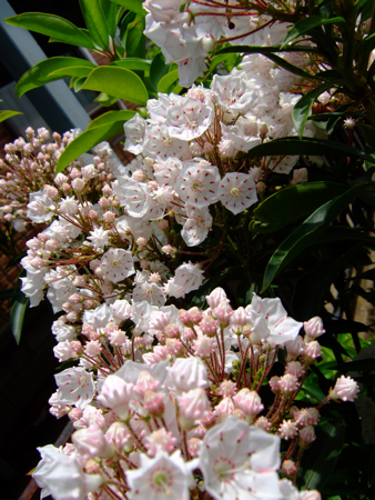 a0105480_1929916.jpg