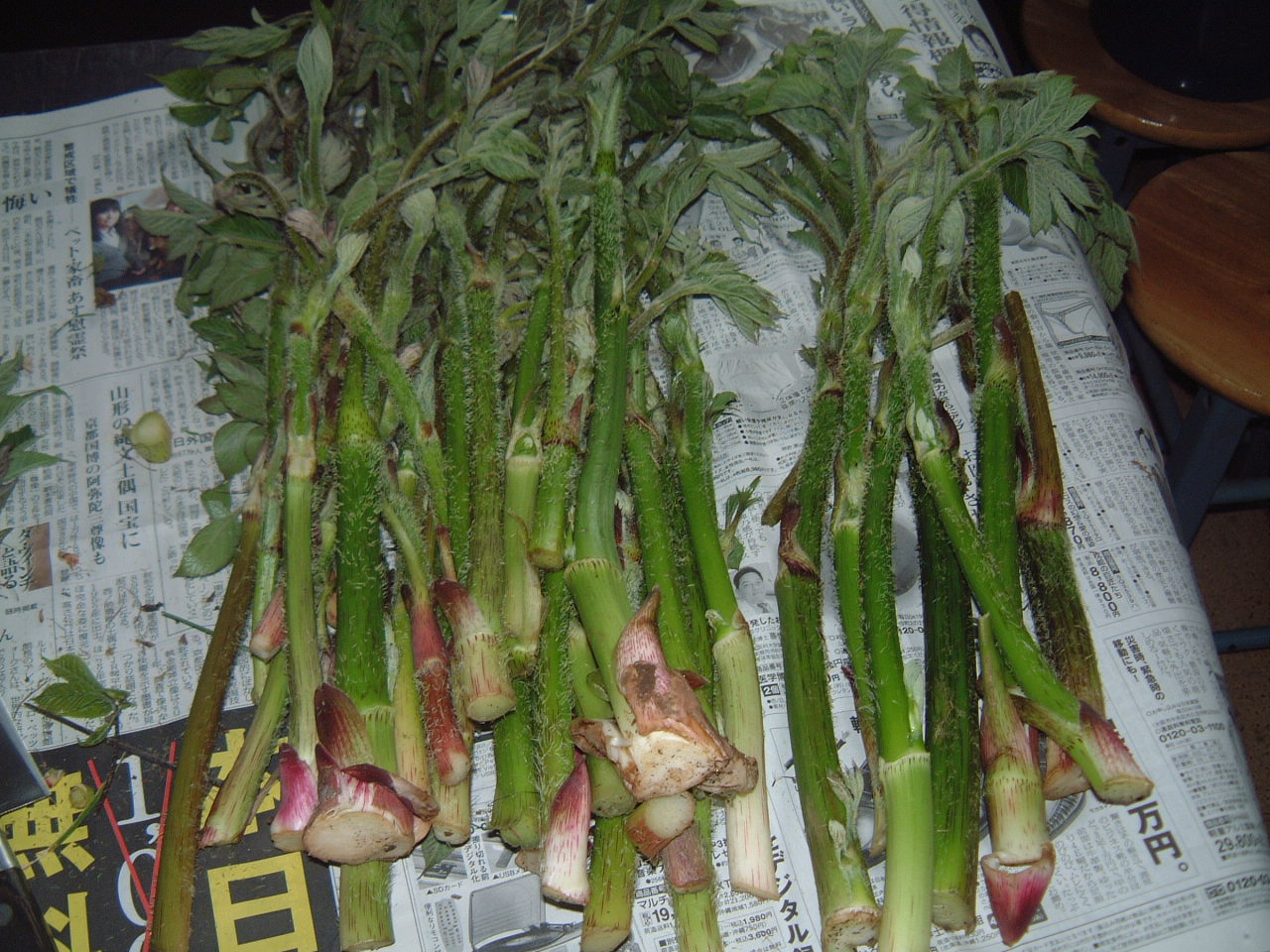c0237780_17224836.jpg