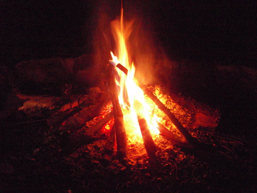 f0223480_2233746.jpg