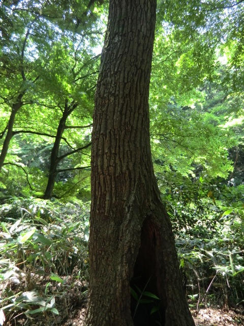 e0215081_194076.jpg