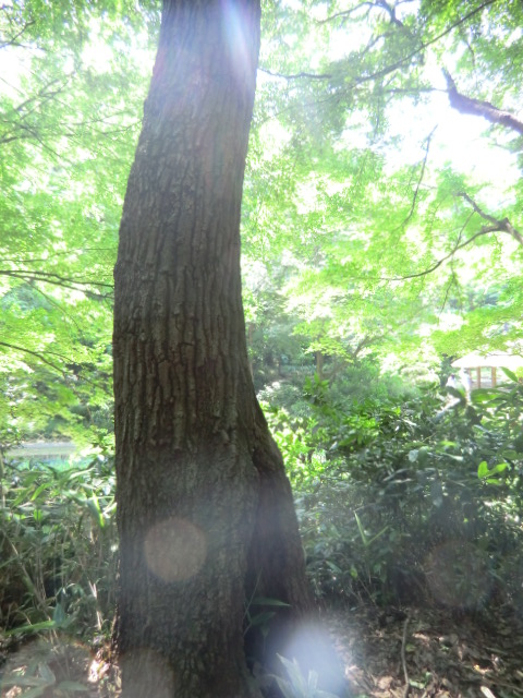 e0215081_1944018.jpg
