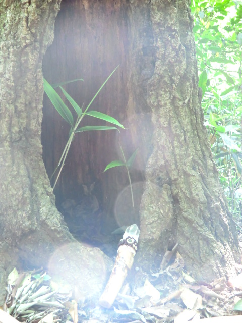 e0215081_1952433.jpg