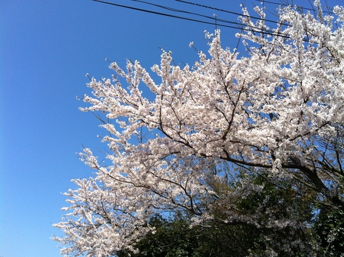 b0174284_23173948.jpg