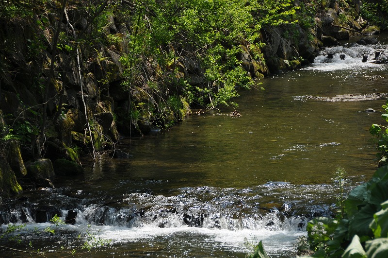 c0240388_21234028.jpg