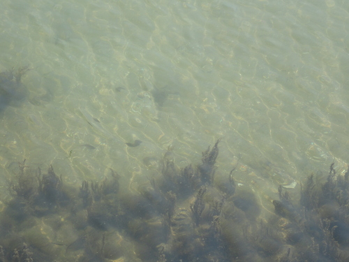 f0131491_13412174.jpg
