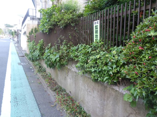 f0130894_20102144.jpg