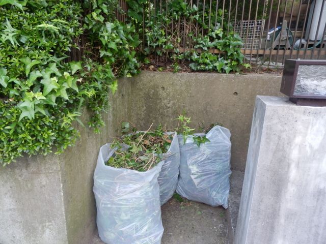 f0130894_20111644.jpg