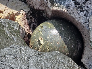 d0156797_1656840.jpg