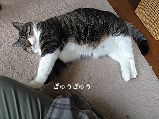 c0035001_1591159.jpg