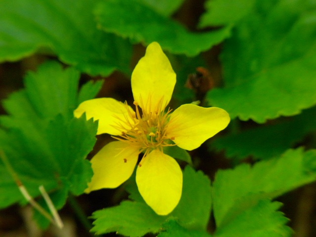 f0157901_1561899.jpg