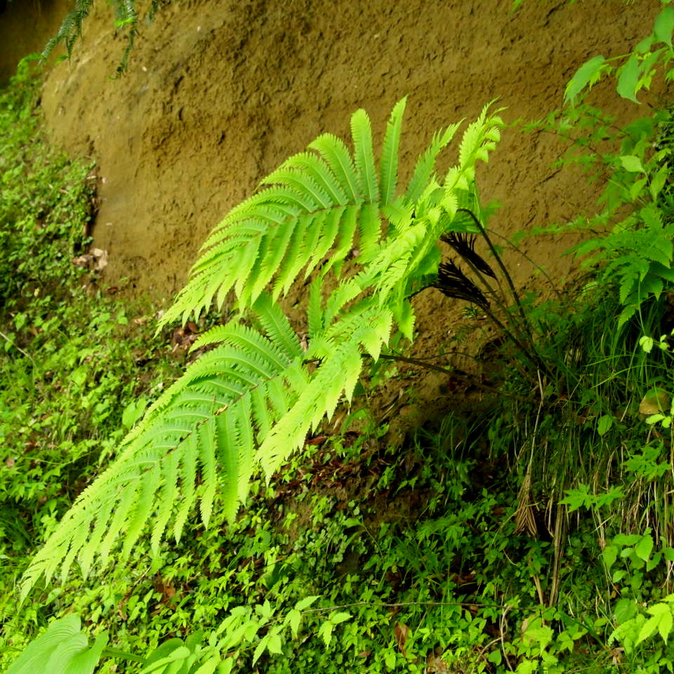 f0236201_8285286.jpg