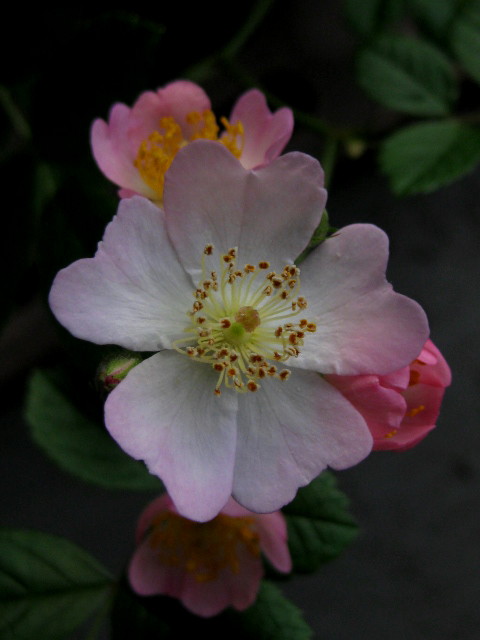 f0236201_914369.jpg