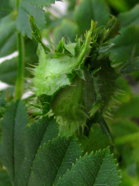 f0236201_9161422.jpg