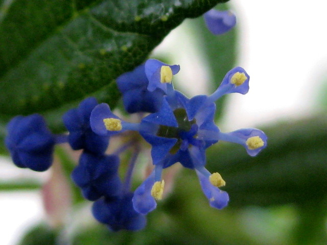 f0236201_9205310.jpg