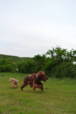 a0134004_15155338.jpg