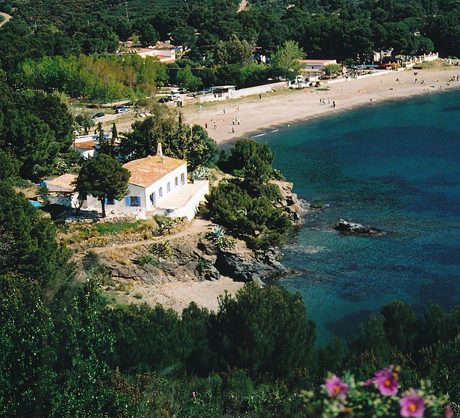 e0147206_749164.jpg