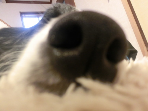 b0239909_22445487.jpg
