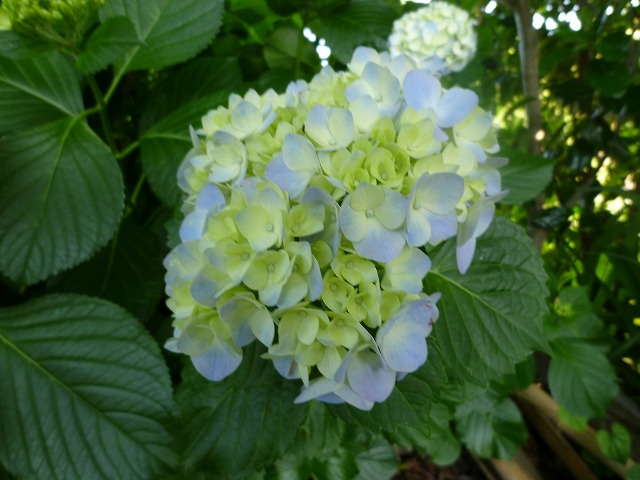 d0037110_20241564.jpg