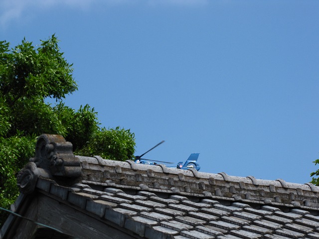 d0037110_20503755.jpg