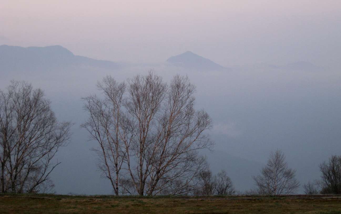 e0003910_1852942.jpg