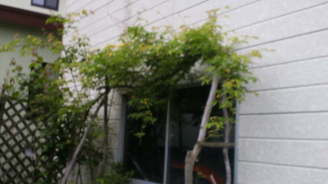 b0035611_19134464.jpg