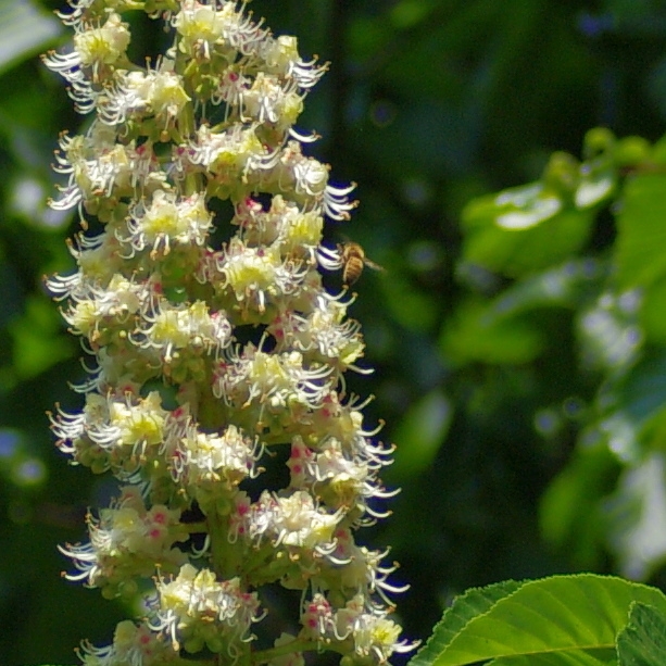 e0142611_0145039.jpg