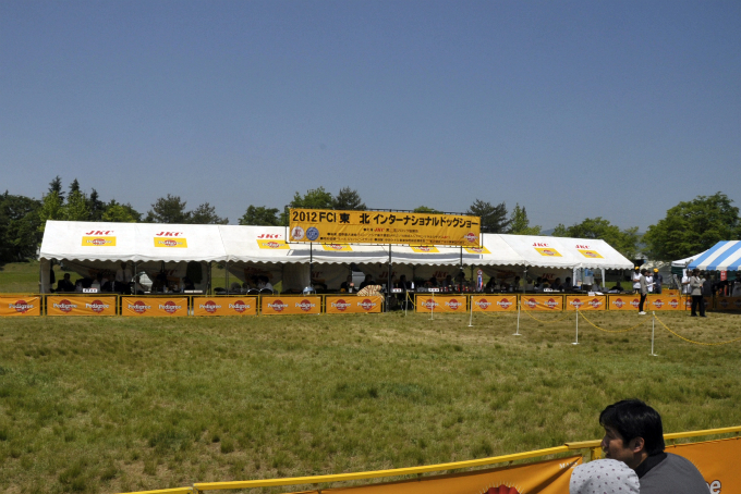 d0179113_19285236.jpg