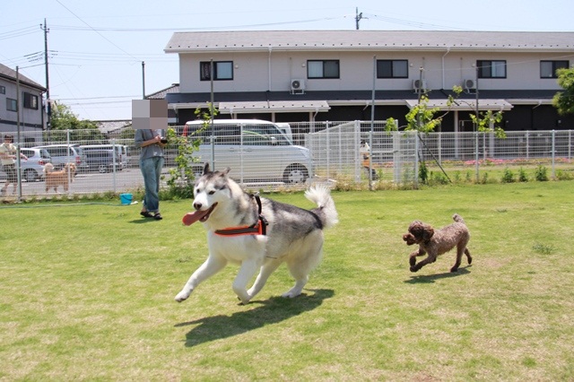 b0207615_203930100.jpg