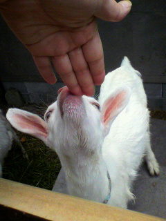 f0036223_6274932.jpg