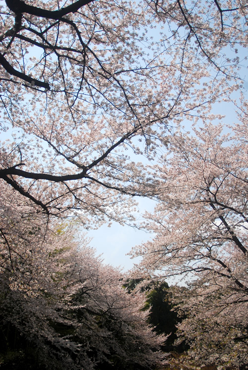 b0041831_2331052.jpg
