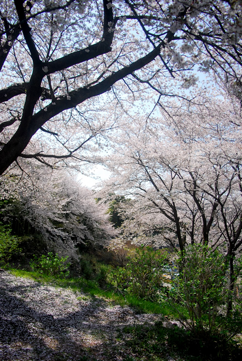b0041831_23311442.jpg