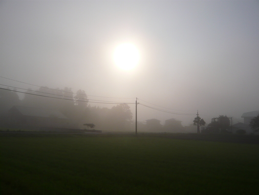 a0206332_11244086.jpg