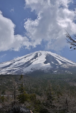 a0214632_191227.jpg