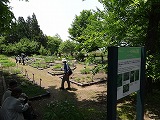f0167635_5596100.jpg