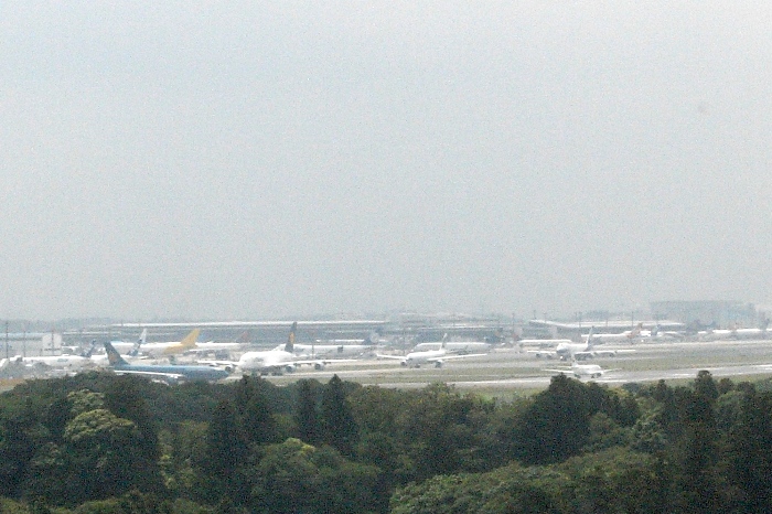 c0022340_2216435.jpg