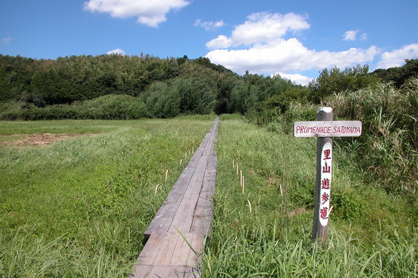 c0022340_22165722.jpg
